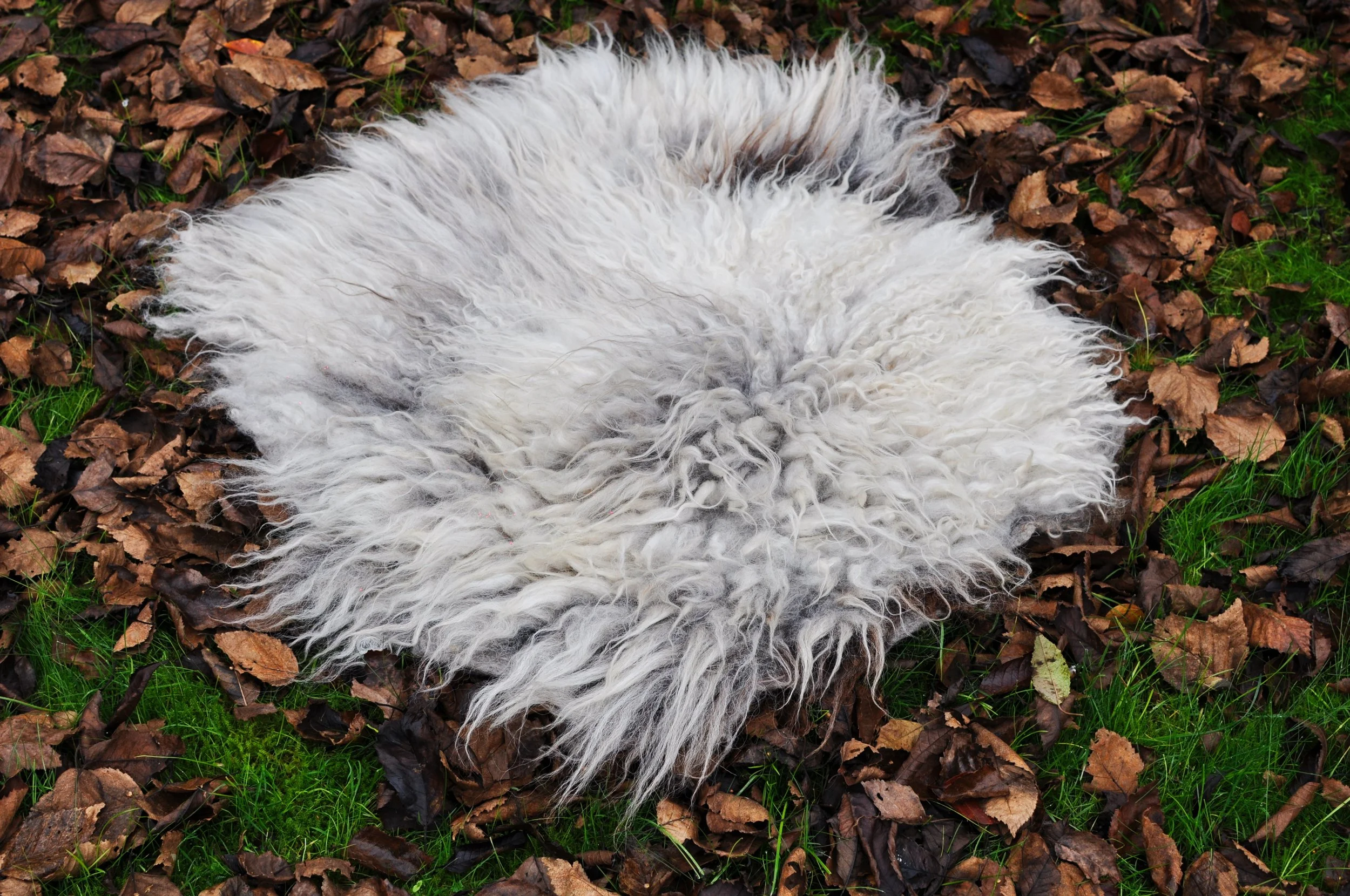 Felted Seat Pad Workshop - 9th October 2025