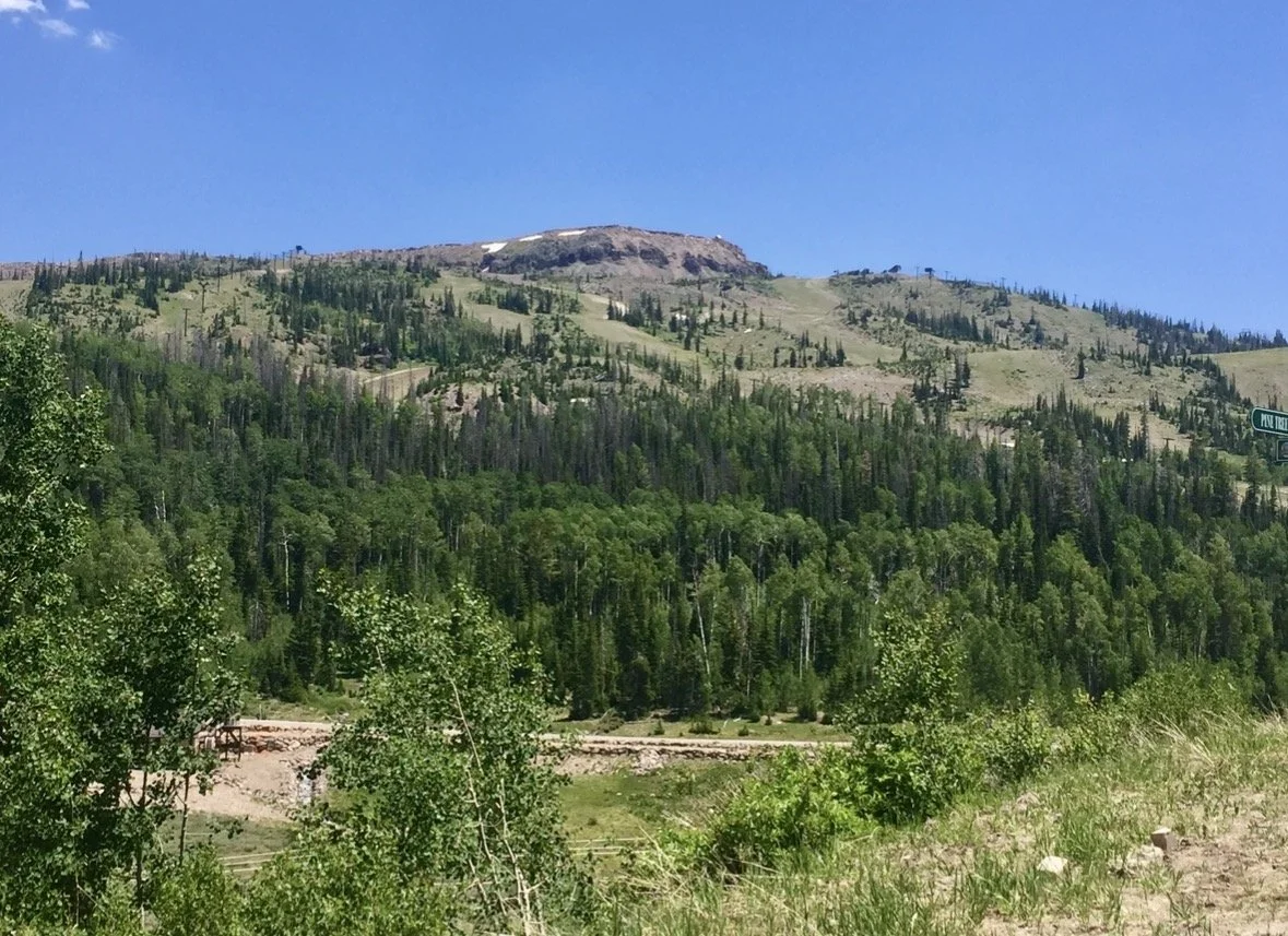 A mountainous landscape with a clear blue sky, green forest covering the slopes, and patches of snow near the top.