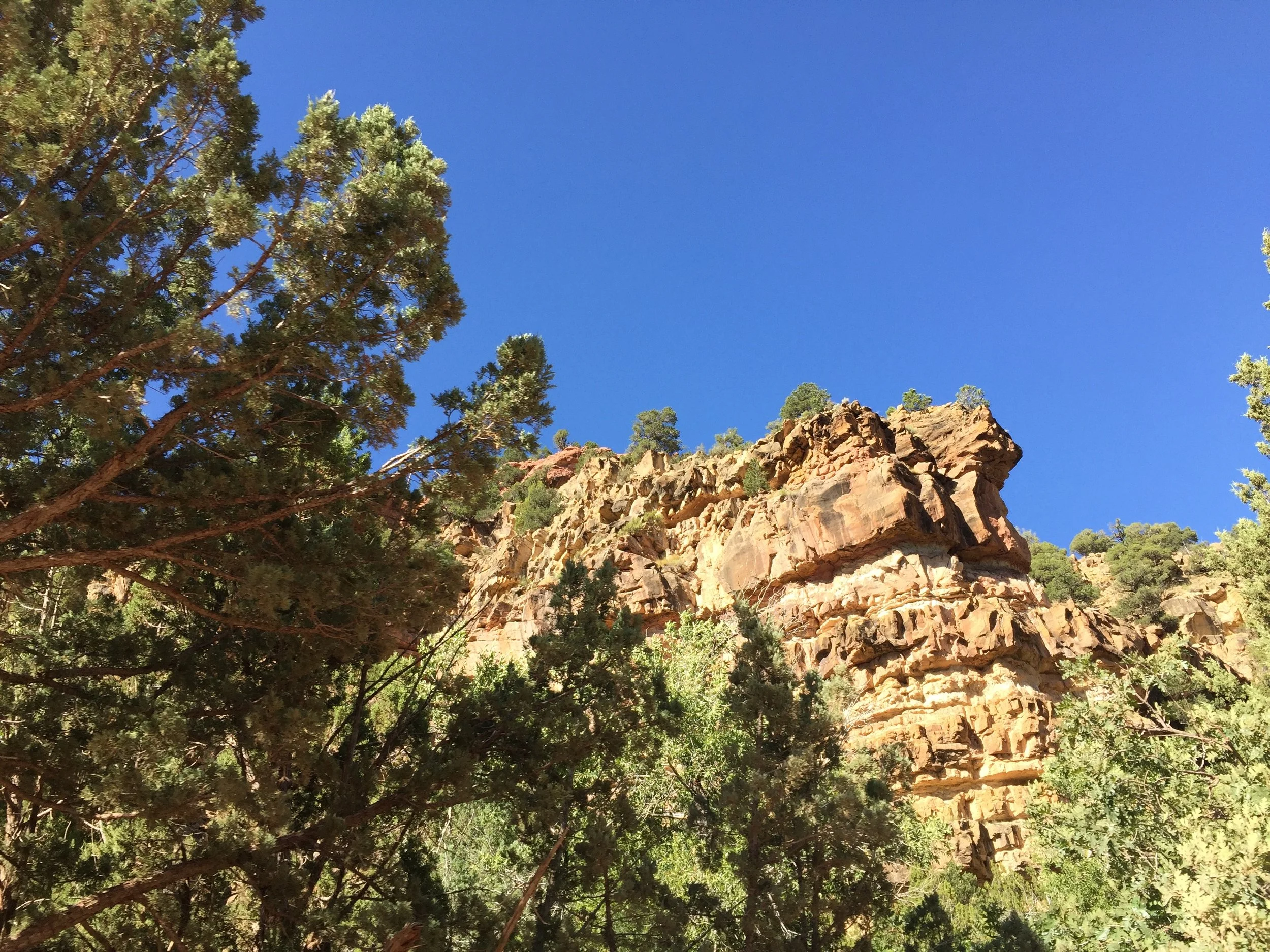 Rock formation surrounded by green trees under a clear blue sky.