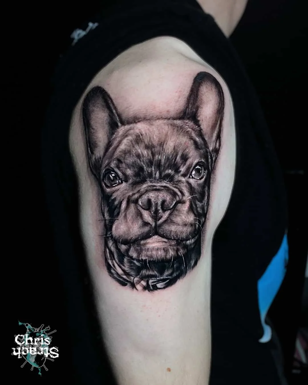dog-portrait-french-bulldog-black-and-grey-bird-tattoo-realistic-chris-Strach-forbidden-arts-tattoo-york.jpg