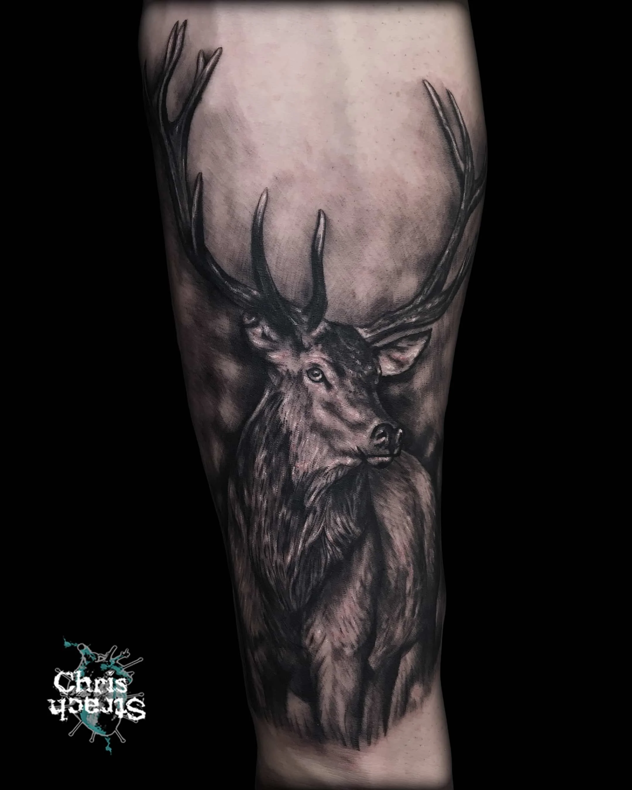 deer-grey-chest-realistic-chris-Strach-forbidden-arts-tattoo-york.jpg
