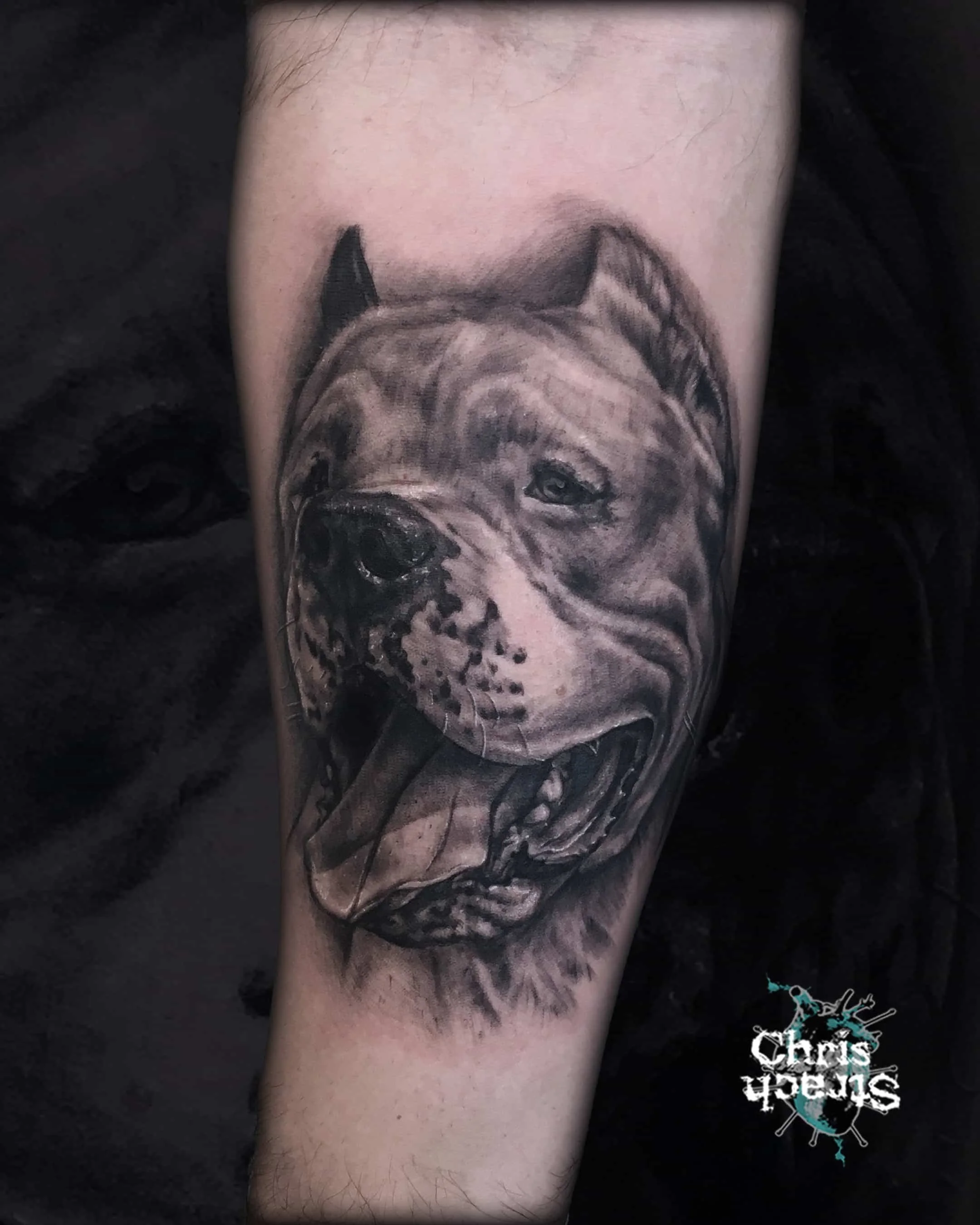 dog-realistic-portrait-chris-Strach-forbidden-arts-tattoo-york.jpg