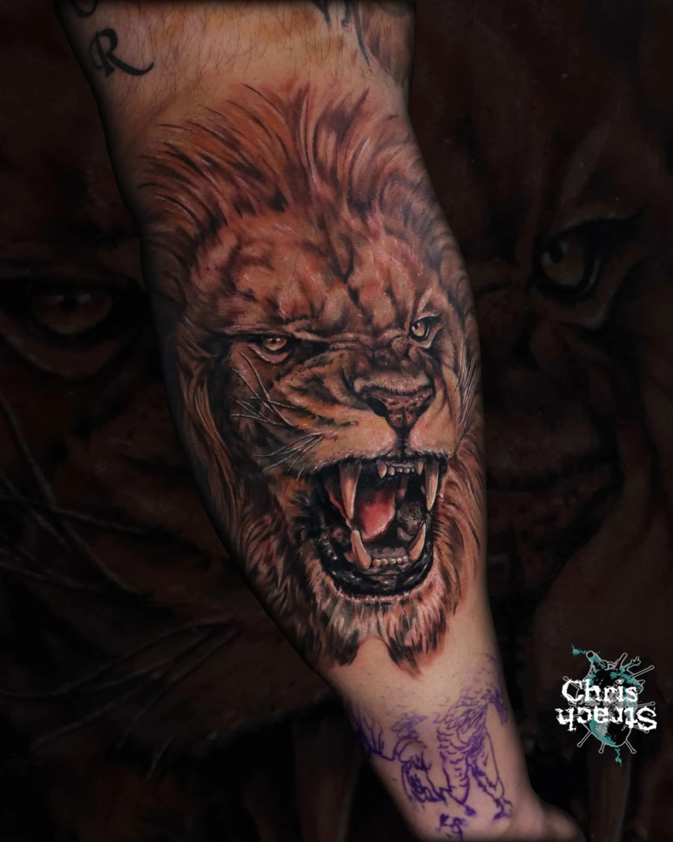 lion-realistic-animal-colour-chris-Strach-forbidden-arts-tattoo-york.jpg
