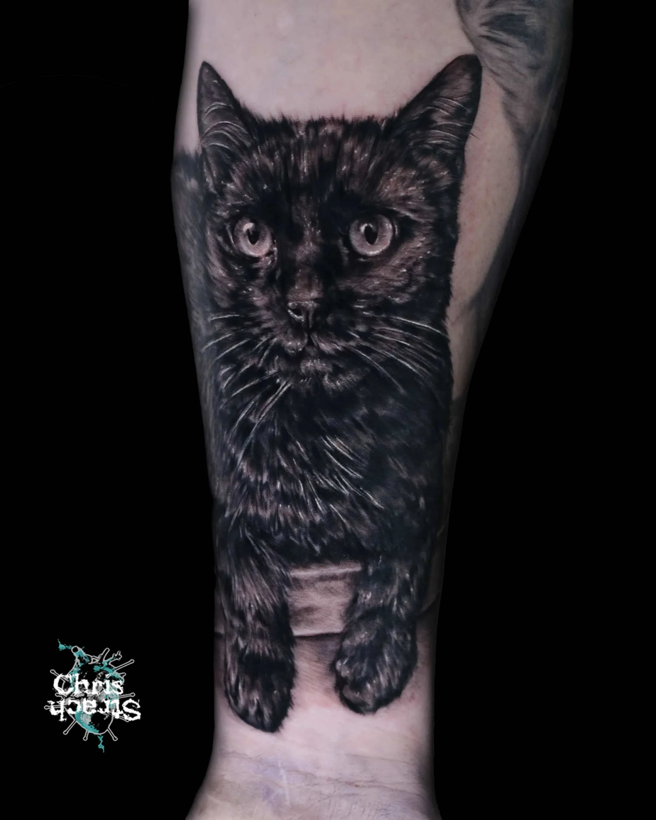cat-black-grey-chris-Strach-forbidden-arts-tattoo-york.jpg