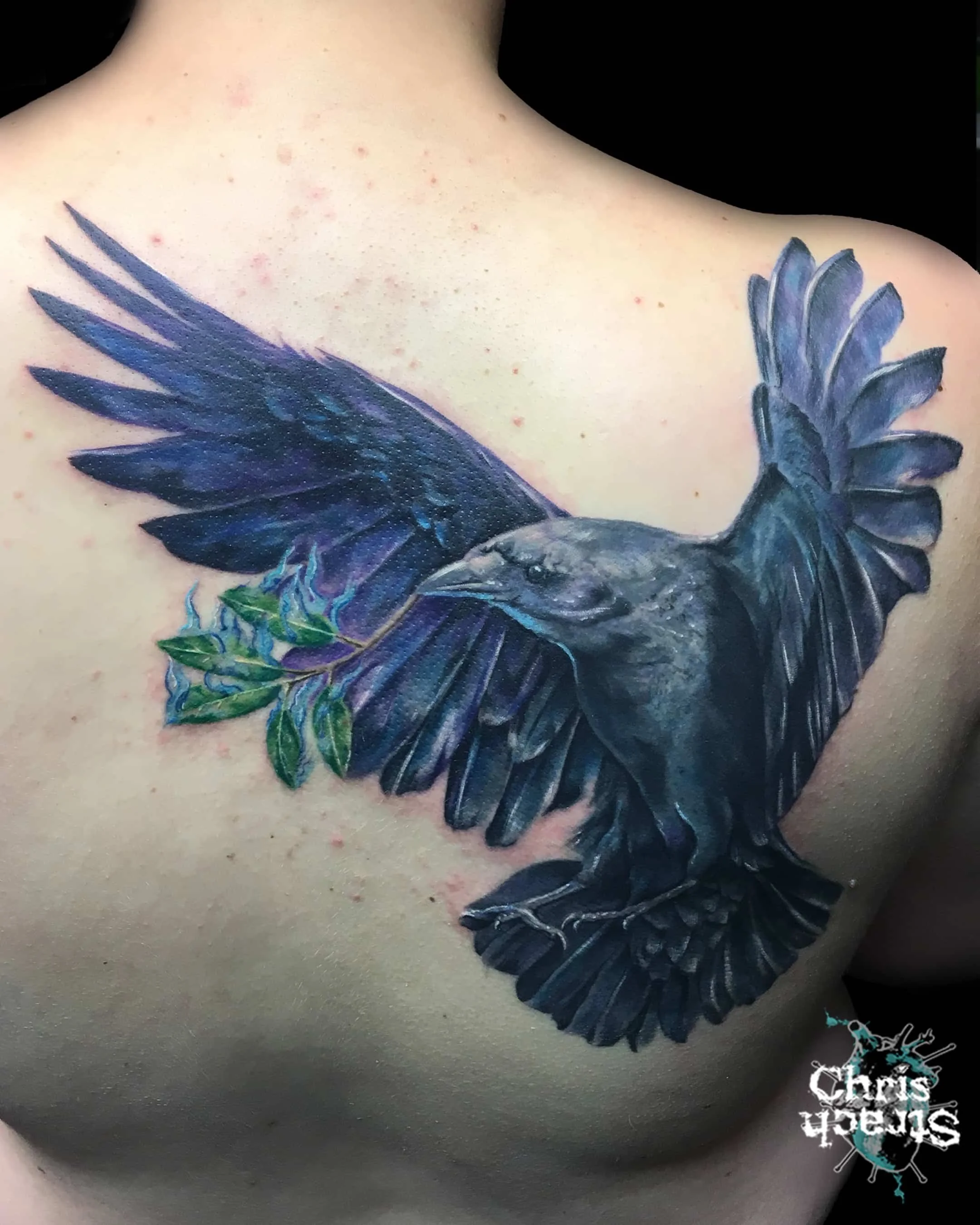 raven-realistic-colour-chris-Strach-forbidden-arts-tattoo-york.jpg