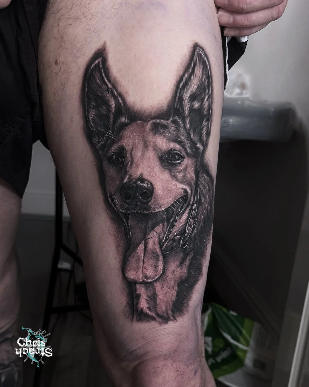 dog-portrait-anima-black-and-gray-realistic-chris-Strach-forbidden-arts-tattoo-york copy.jpg