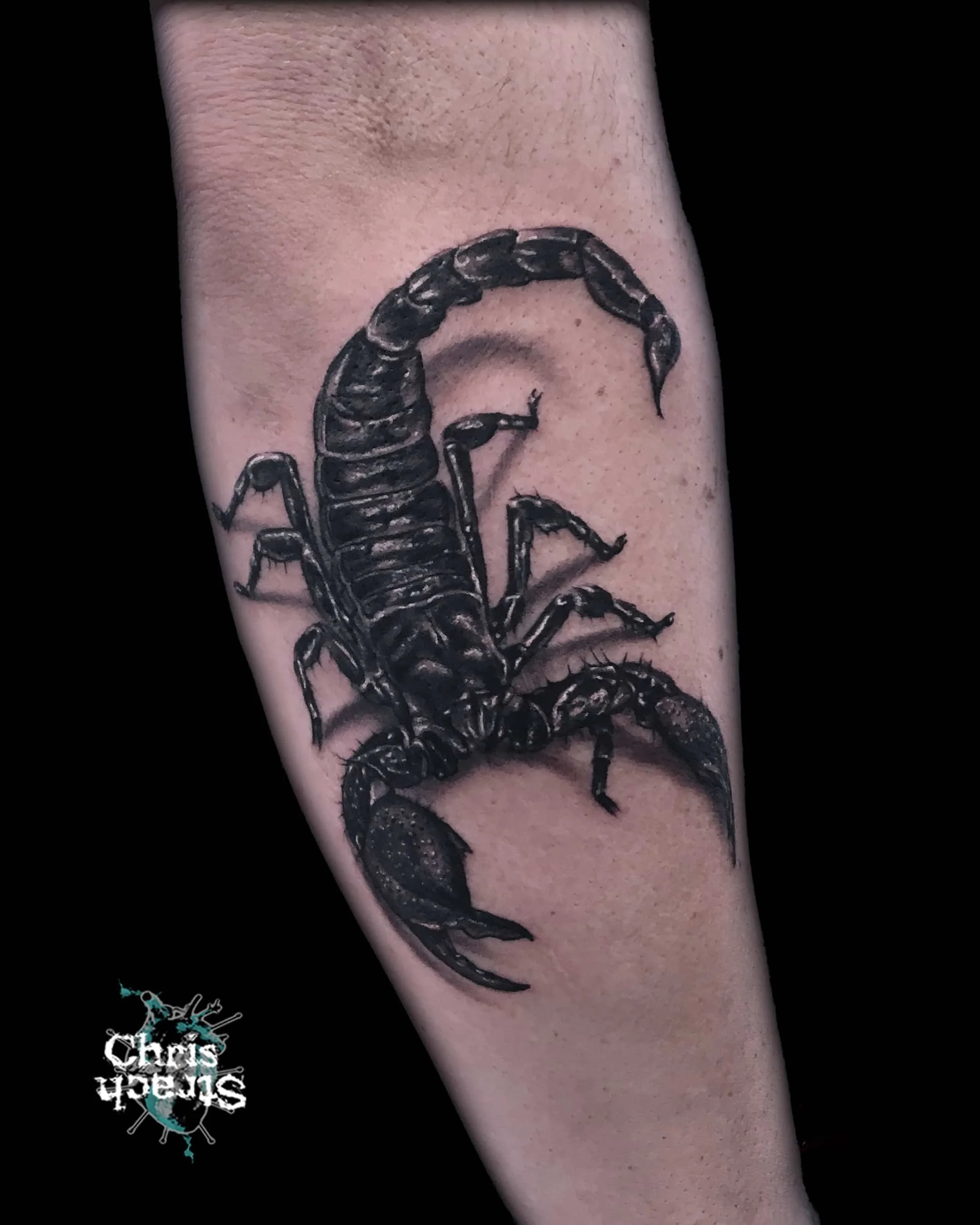 scorpion-black-grey-chris-Strach-forbidden-arts-tattoo-york.jpg