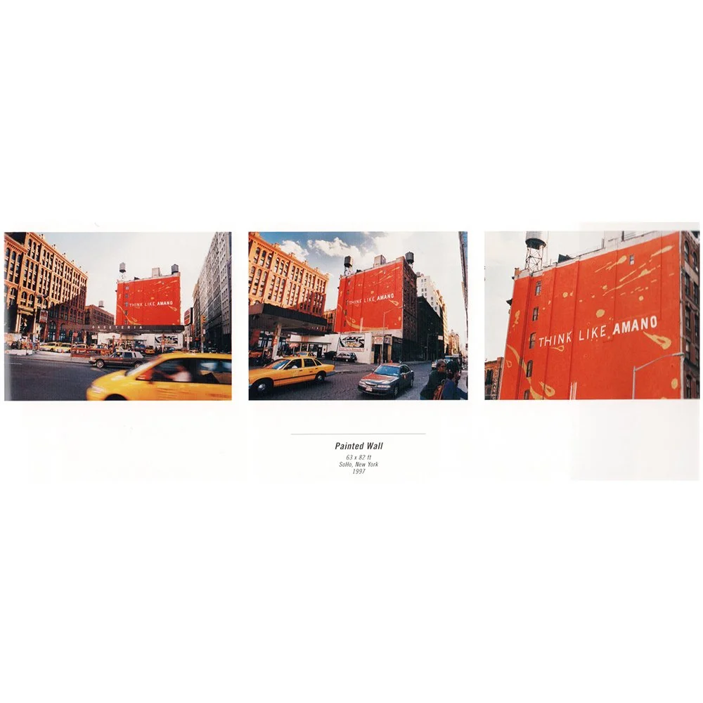 THINK LIKE AMANO-6.jpg