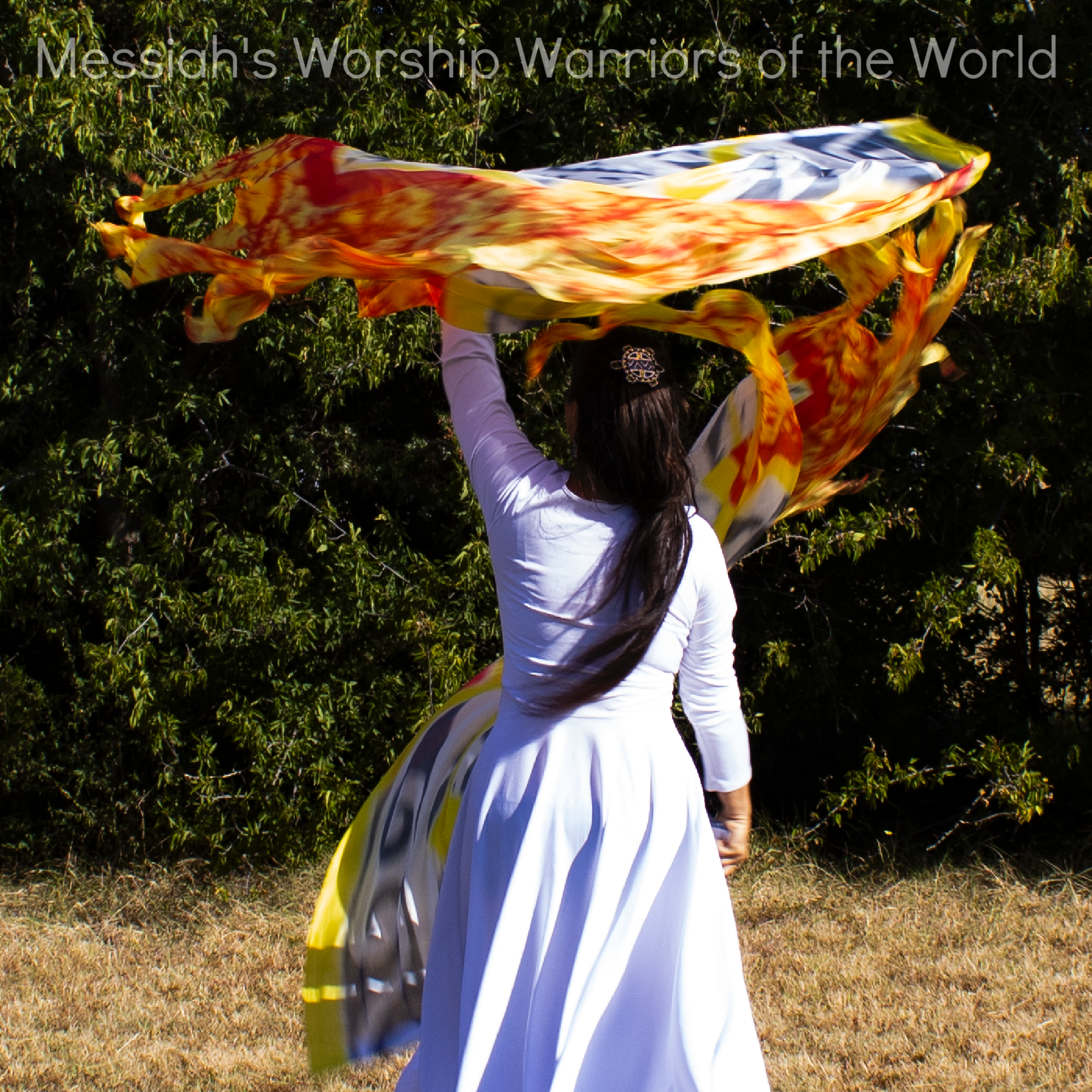 Tribal Thunder Hand Painted Silk Worship Flags