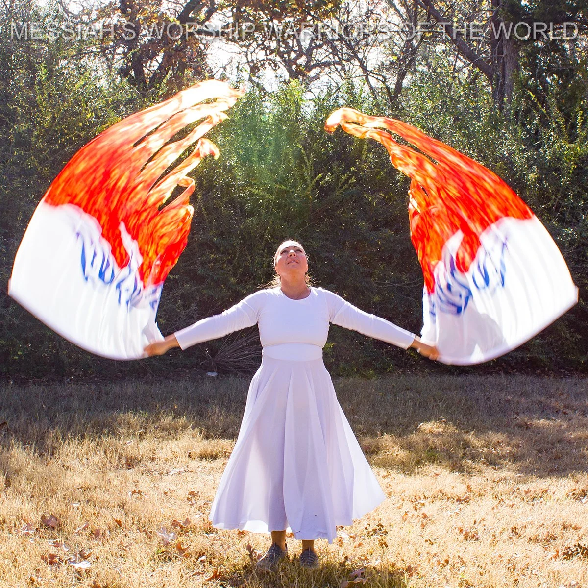 Holy Holy Holy Hand Painted Silk Worship Flags