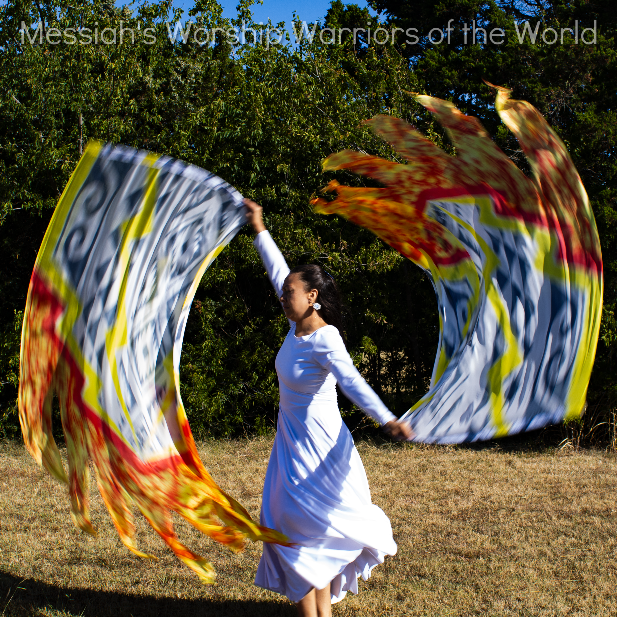 Tribal Thunder Hand Painted Silk Worship Flags