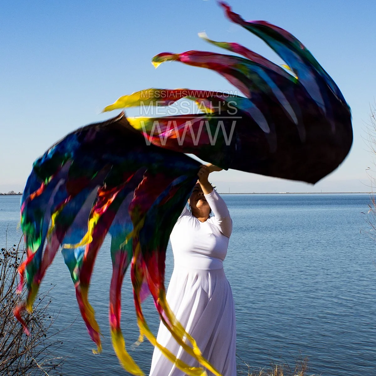 JOSEPH'S MANTLE PROPHETIC DANCE WORSHIP DANCE PRAISE LARGE SILK DYED SWING FLAGS