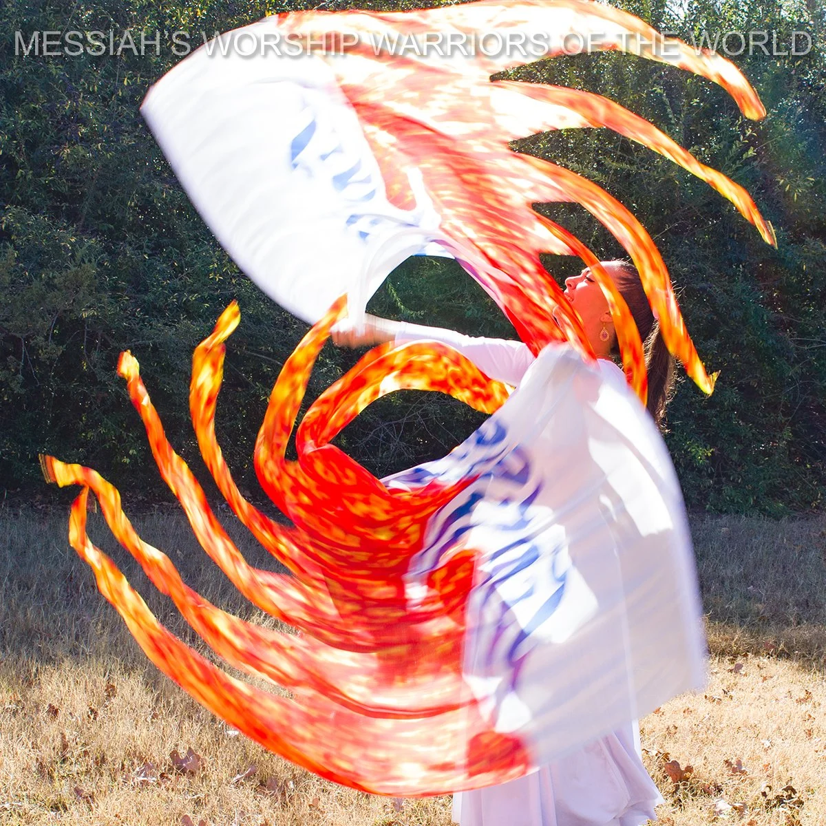 Holy Holy Holy Hand Painted Silk Worship Flags