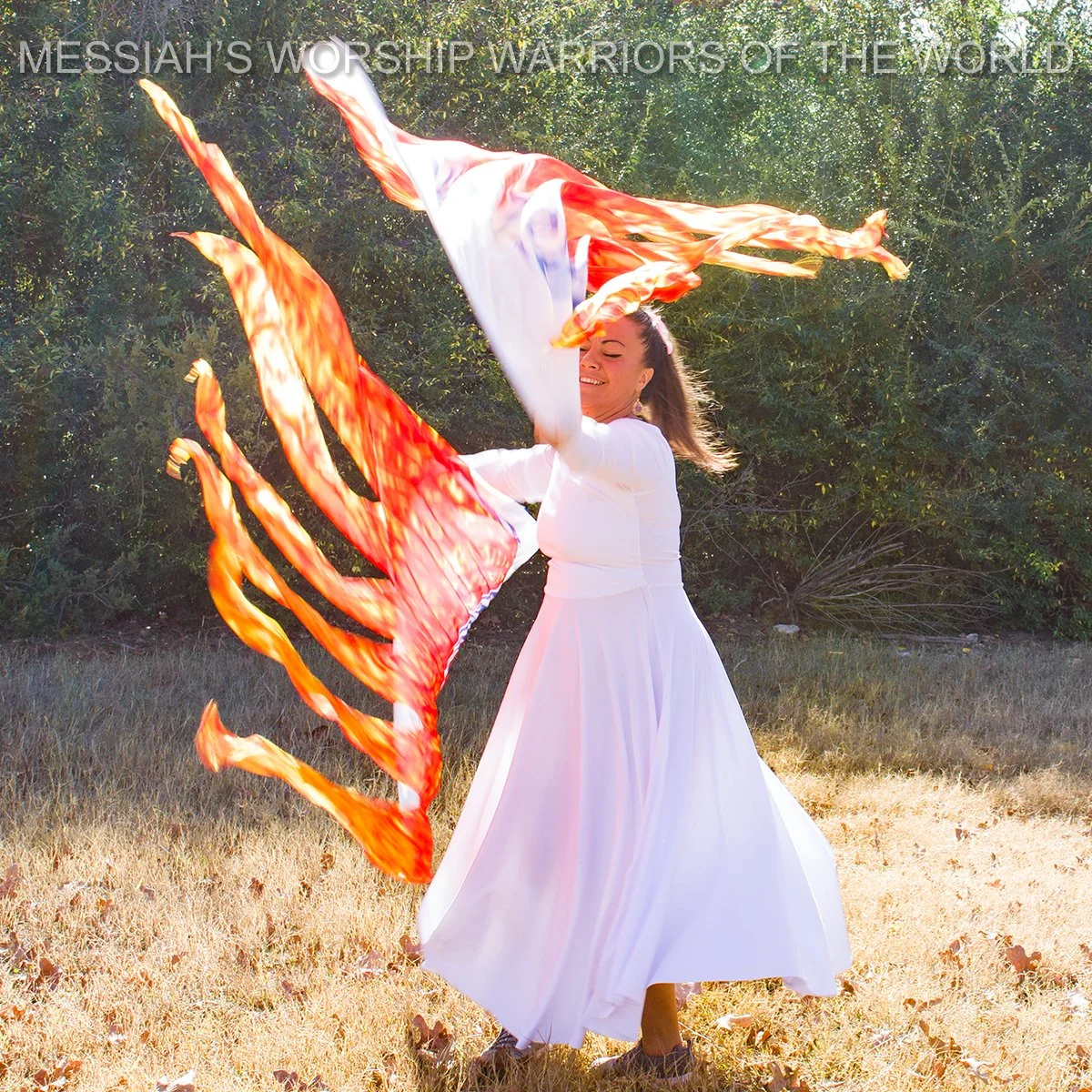 Holy Holy Holy Hand Painted Silk Worship Flags