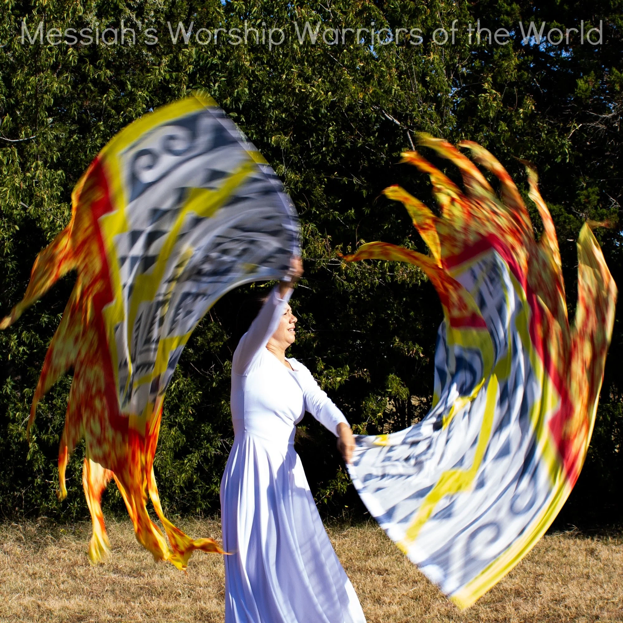 Tribal Thunder Hand Painted Silk Worship Flags