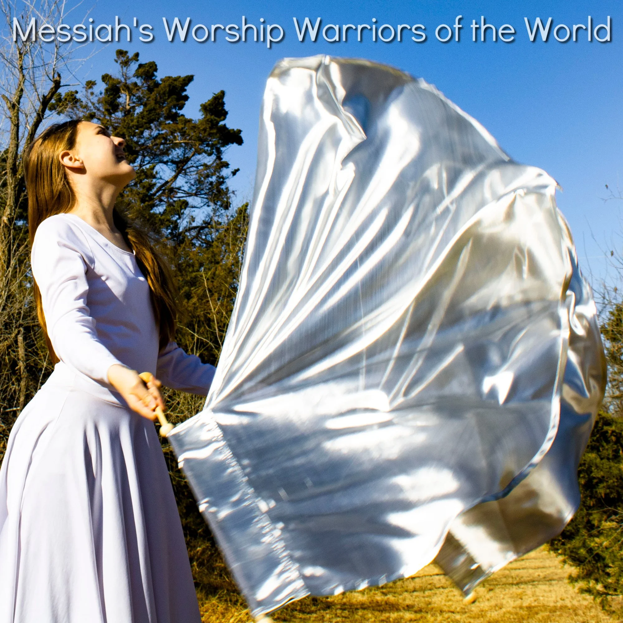 SILVER SINGLE LAYERED WORSHIP PRAISE DANCE SPIN- TUBE FLAGS