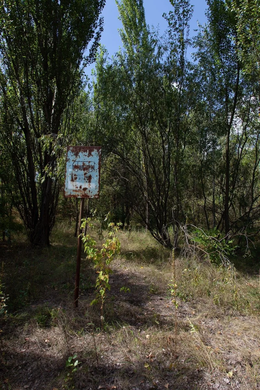 IMG_5104.jpeg