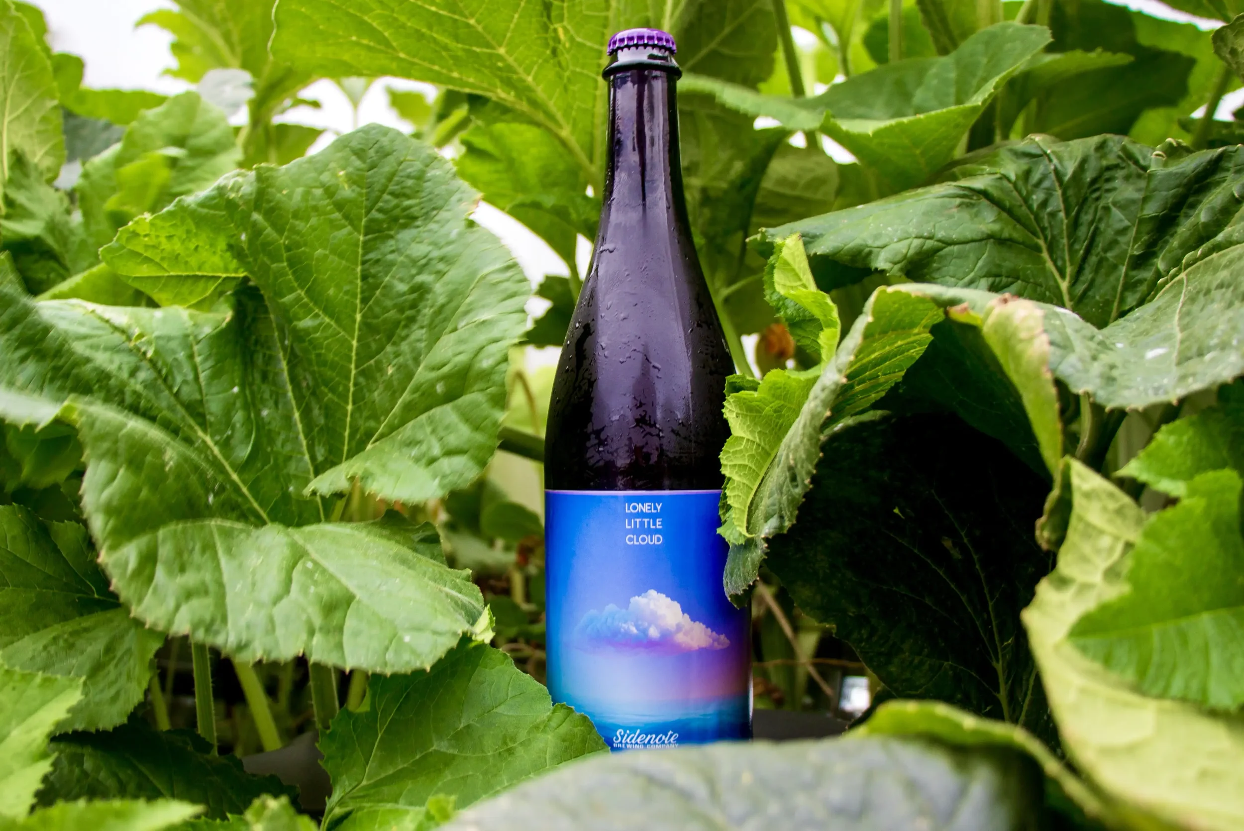 Sidenote-Brewing-Lonely-Little-Cloud-Farmhouse-Sour-Ale.webp
