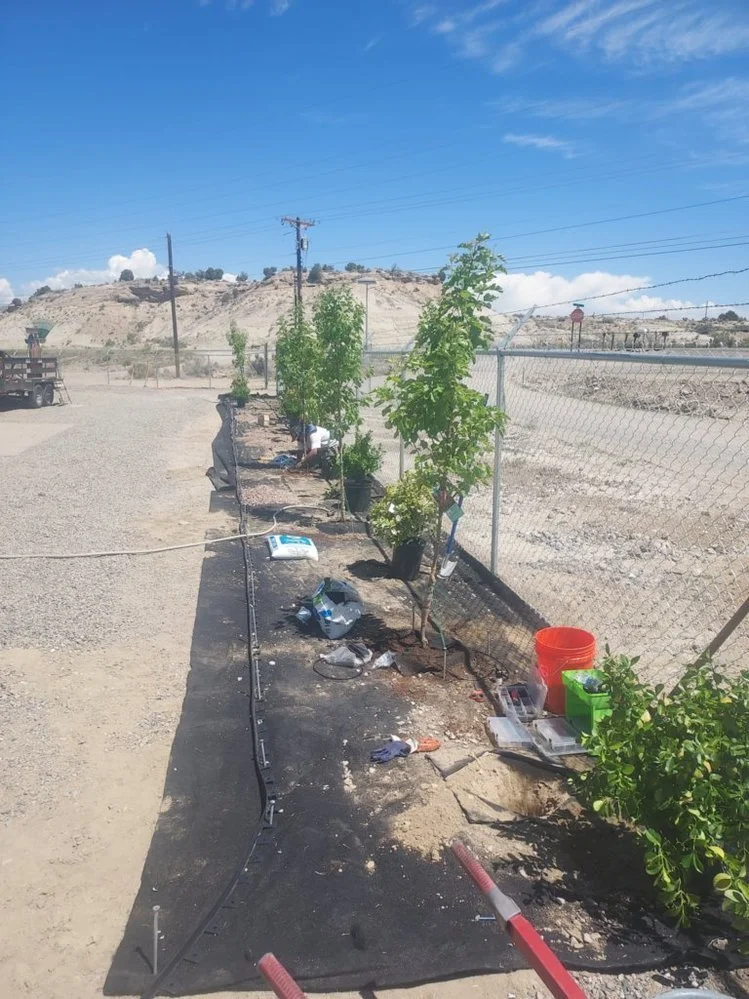 

Priddy Landscaping gravel Allen Ave Animas St Farmington nm
