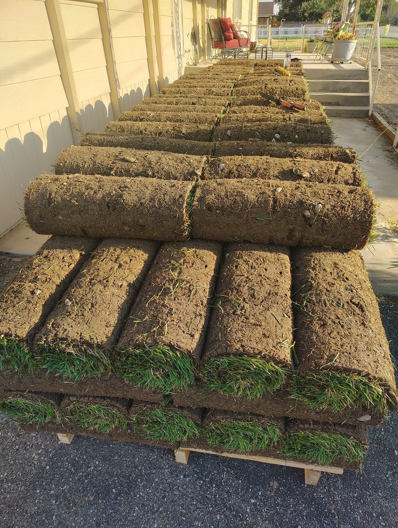 The Secret to a Lush Green Lawn in San Juan County