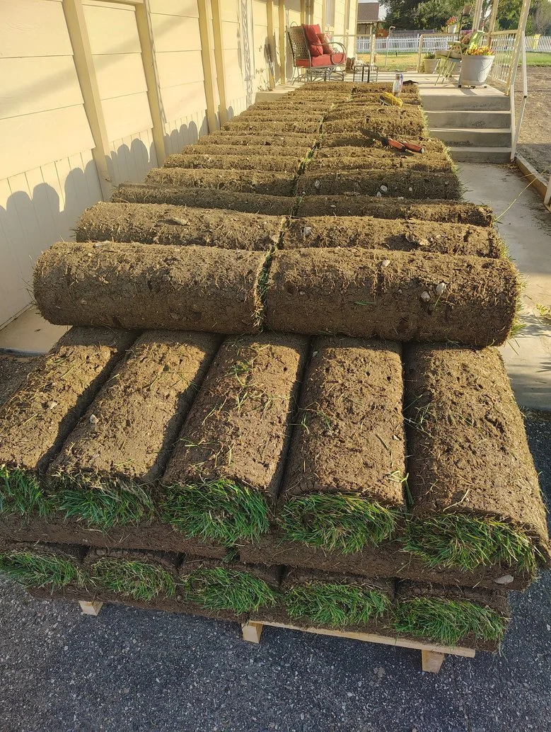 Irrigation and sod installation project Aztec NM