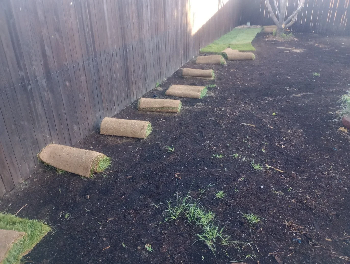 Residential sod installation Aztec NM