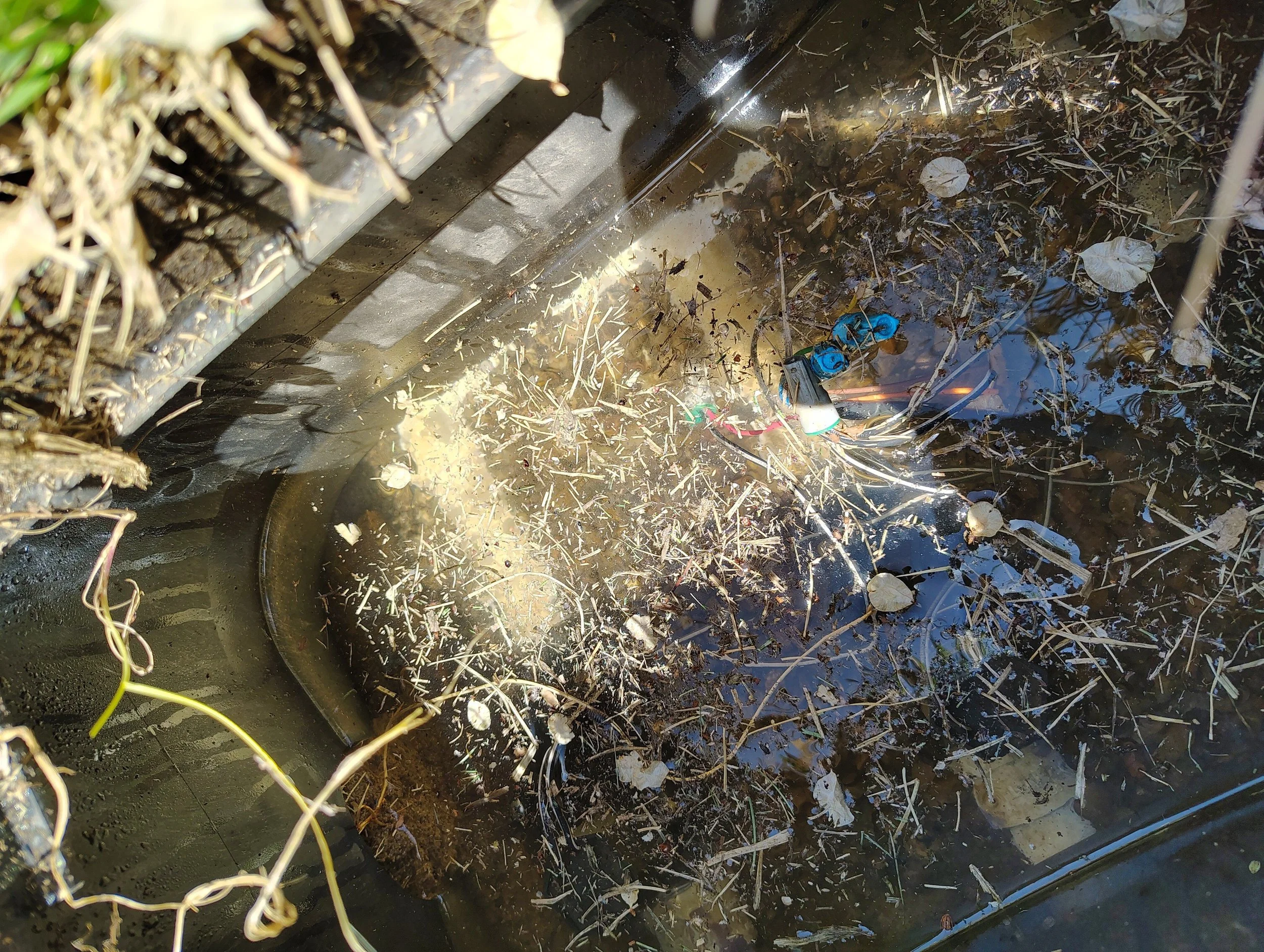 Well-fed irrigation sprinkler repair in Cedar Hill NM by Priddy Landscaping