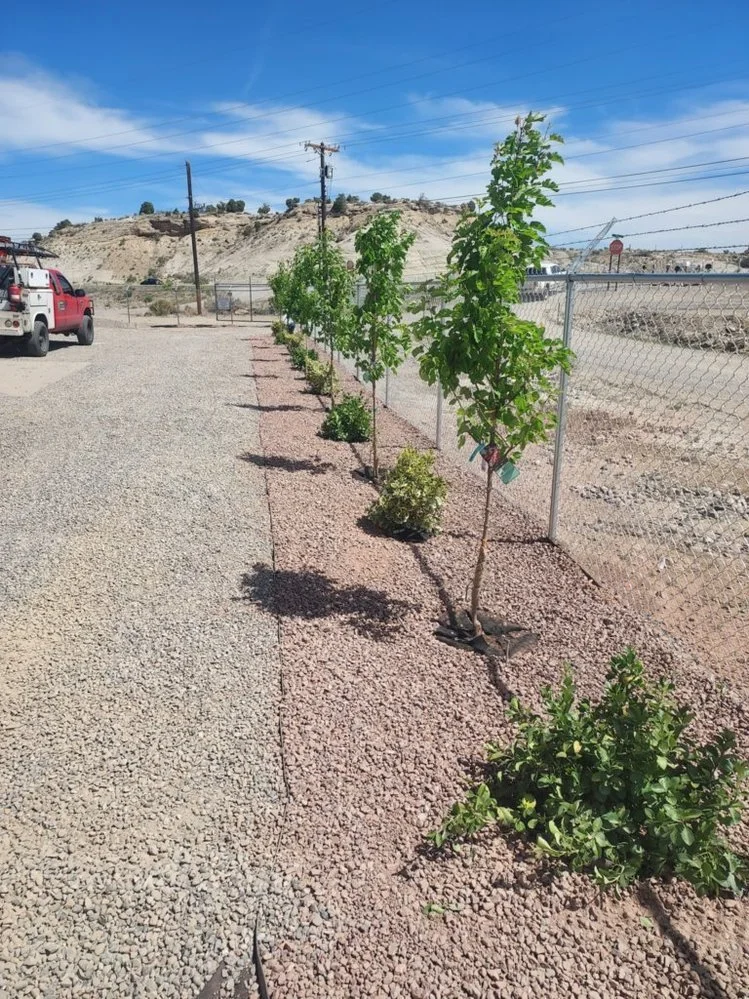 Grass-to-gravel yard conversion completed near Logans Cove Place in Farmington NM