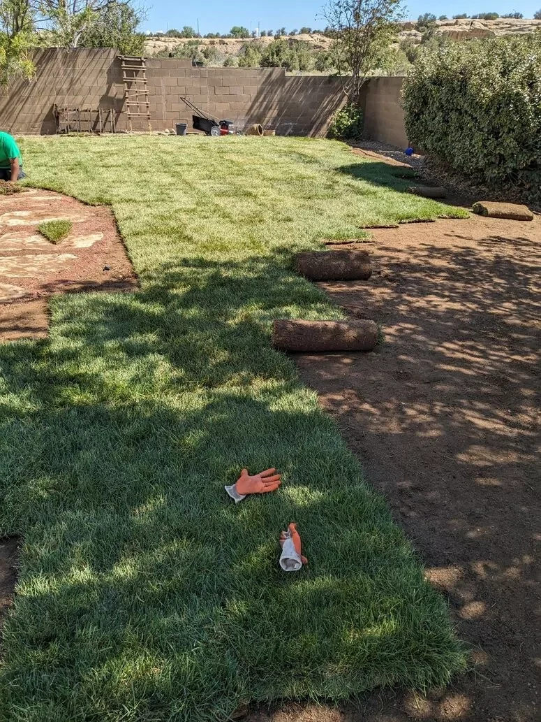 Installing new grass lawn Kirtland NM