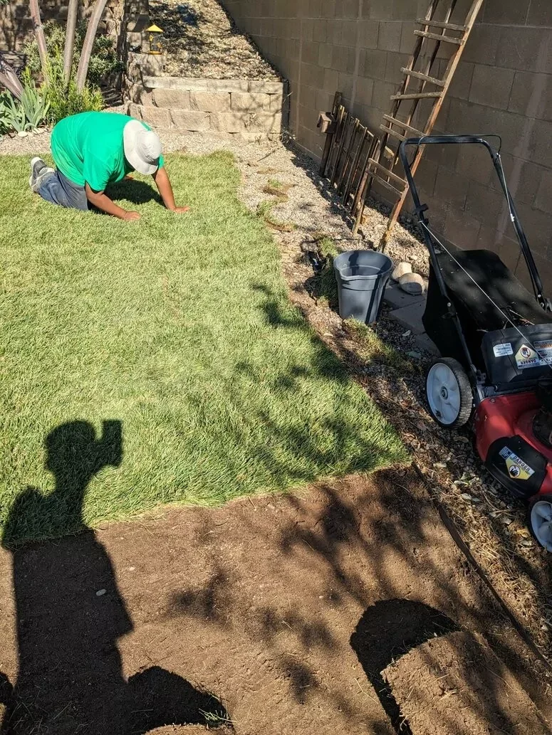 Installing new grass lawn Bloomfield NM