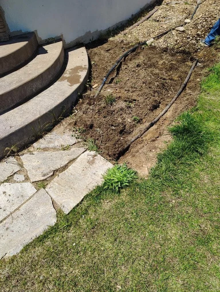Garden bed under construction next to concrete steps and a white wall, with a black drip irrigation pipe running through the soil, and a small green plant growing at the edge of the lawn.