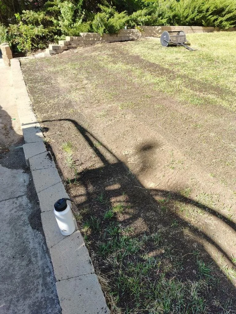 A backyard with a partially watered lawn, a garden border with a wall of bricks, a white water bottle on the edge of the concrete patio, and a wheelbarrow on the grass. There are green bushes and trees in the background.