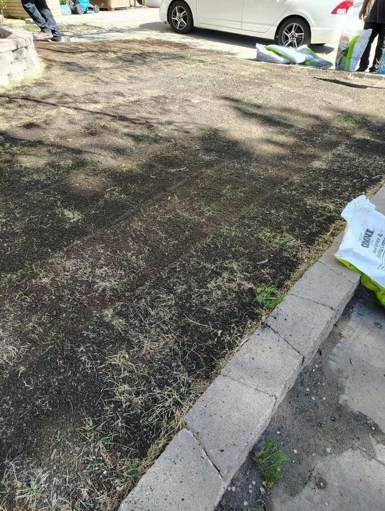 A patch of bare, dark soil with sparse grass, bordered by a row of concrete cinder blocks, next to a sidewalk. In the background, there are cars and a couple of people walking.
