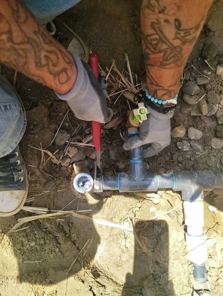 sod in farmington nm