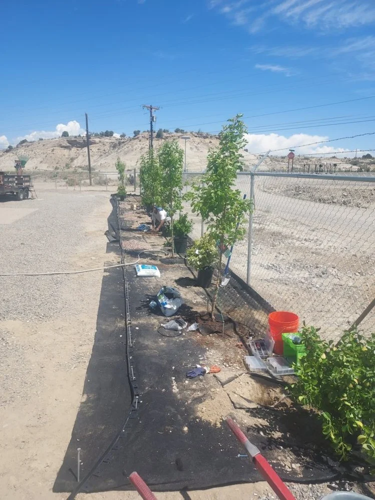 Low-maintenance gravel yard completed on Willow Lane in Bloomfield NM by Priddy Landscaping and Irrigation