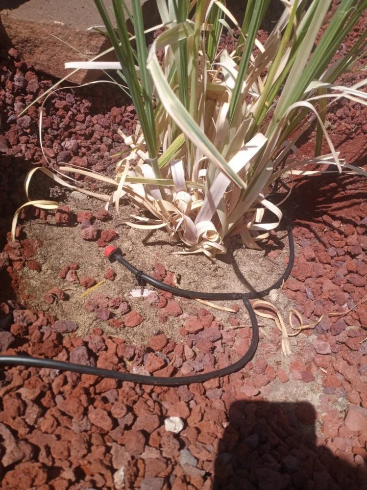 Gravel driveway installed by Priddy Landscaping and Irrigation along Aztec Boulevard in Aztec NM