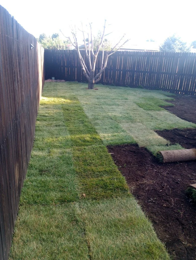 Residential sod installation Bloomfield NM