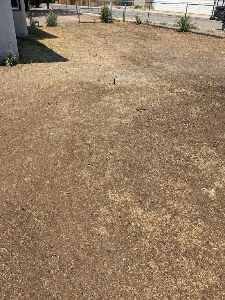 Grass restoration experts in Farmington, Aztec, Bloomfield, Kirtland, and Flora Vista NM.