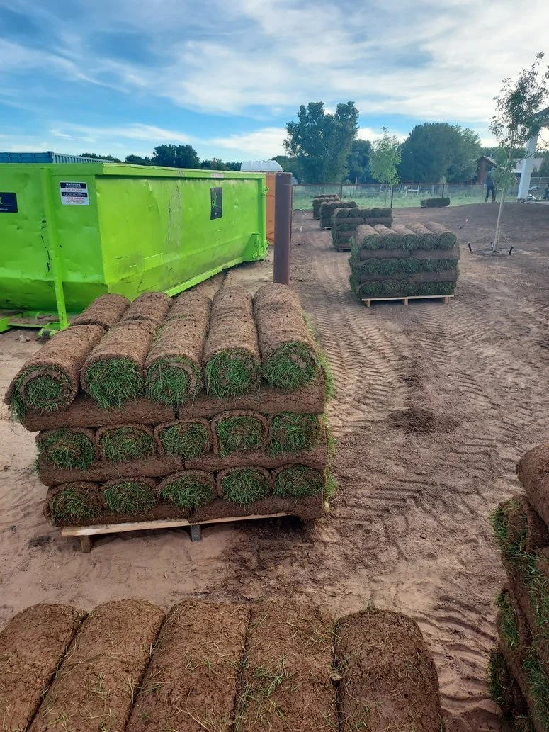 Residential sod installation near Bloomfield NM
