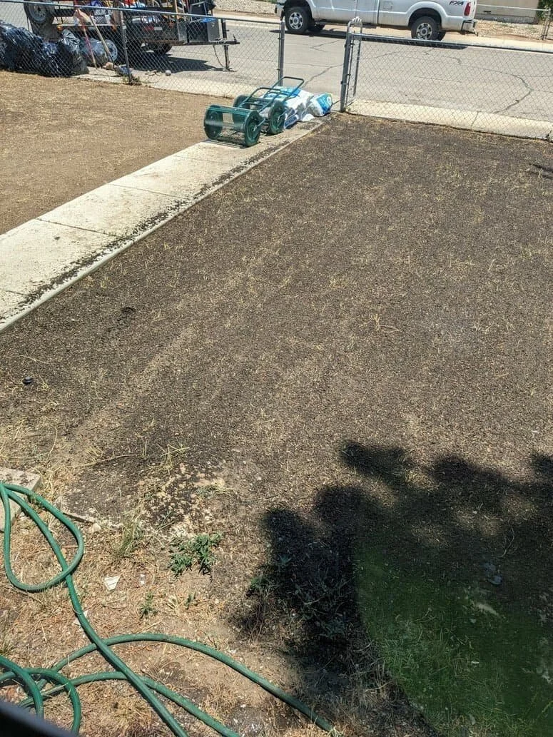 A small outdoor area with a concrete border and a dirt patch, a garden hose on the ground, and a gate in the background with a parked white truck beyond it.