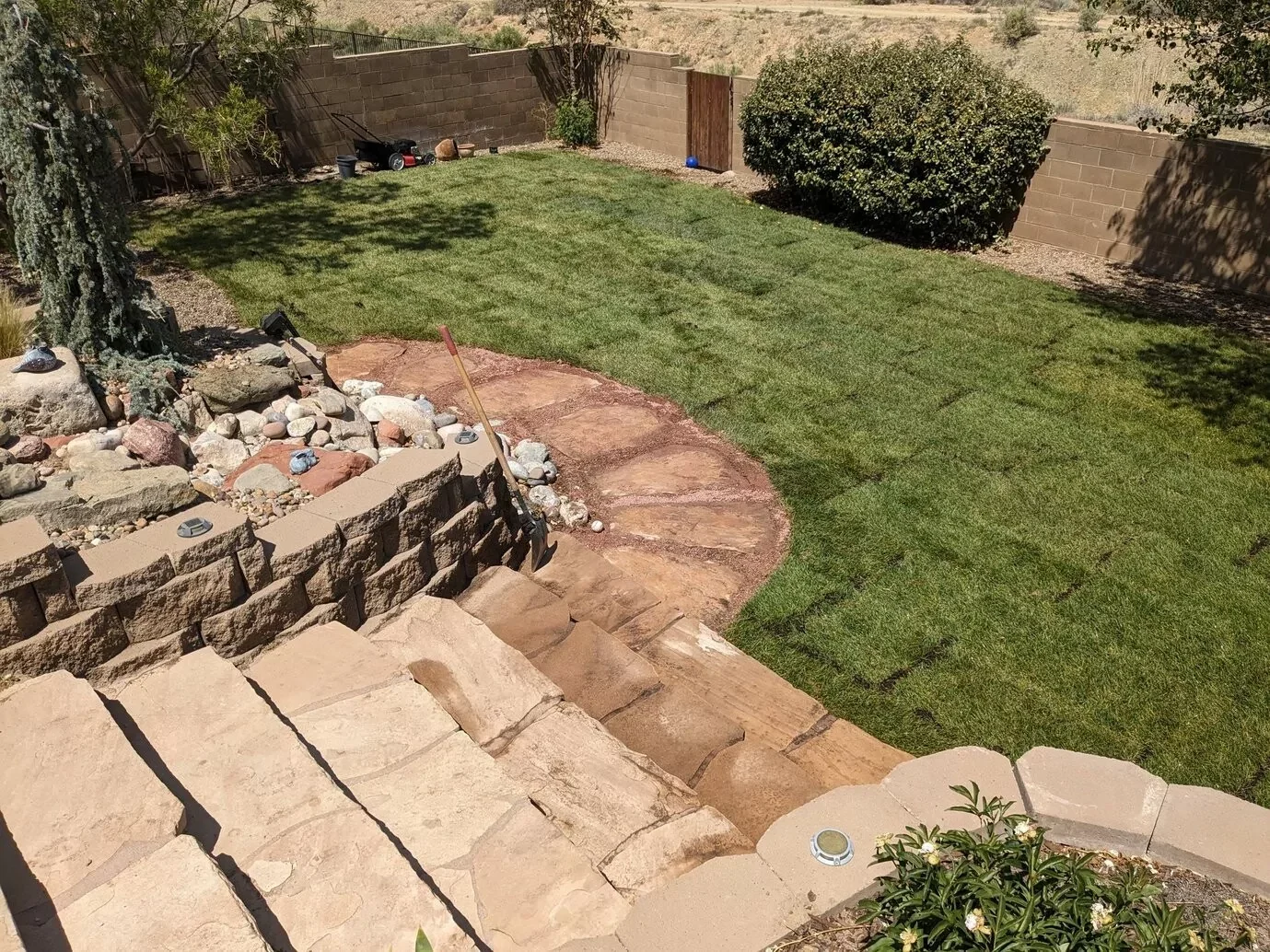 Sod installation in Kirtland NM backyard lawn