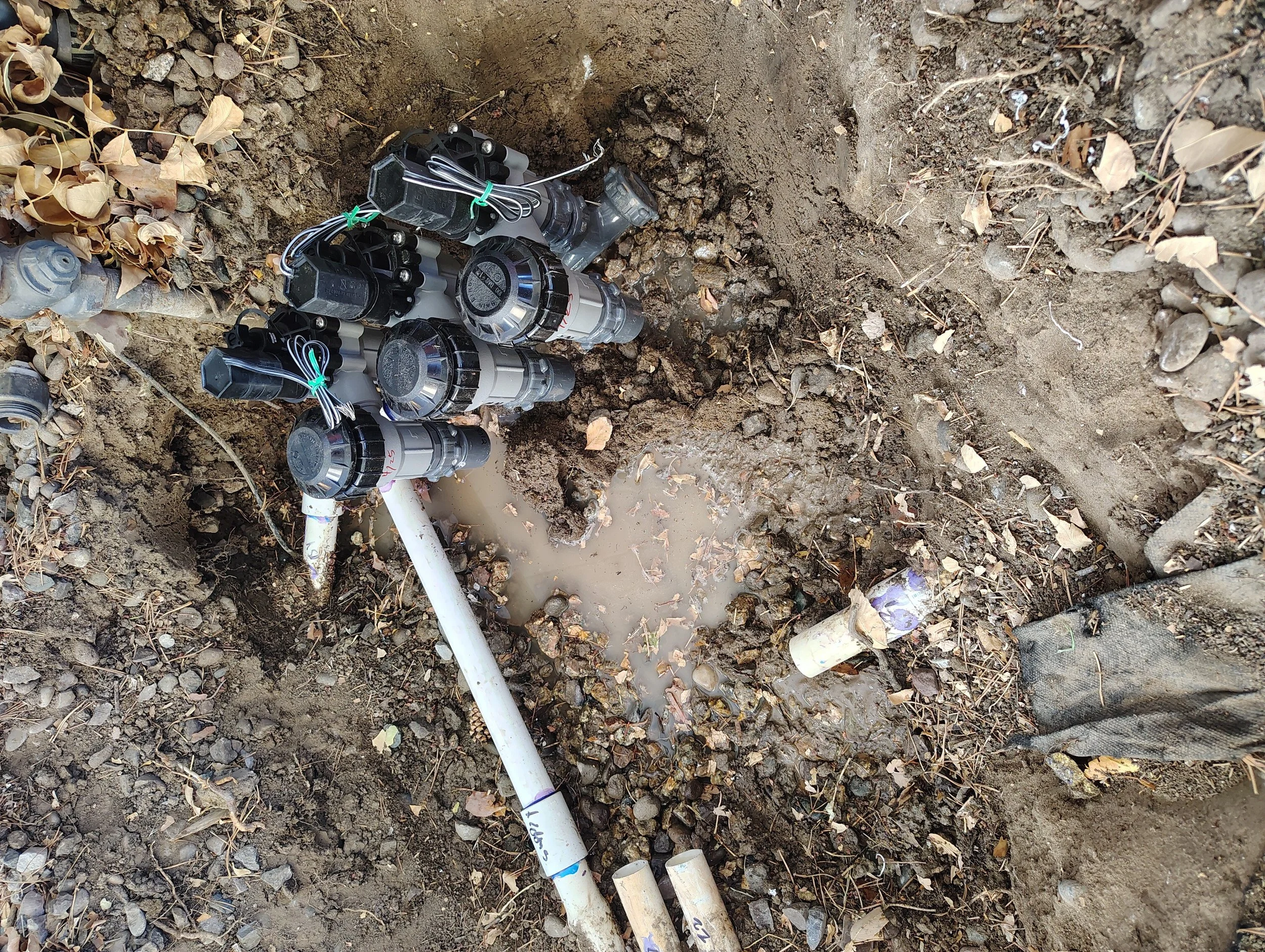 Well-fed irrigation sprinkler repair in La Plata NM by Priddy Landscaping
