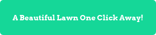 Green background with white text that reads 'A Beautiful Lawn One Click Away!'