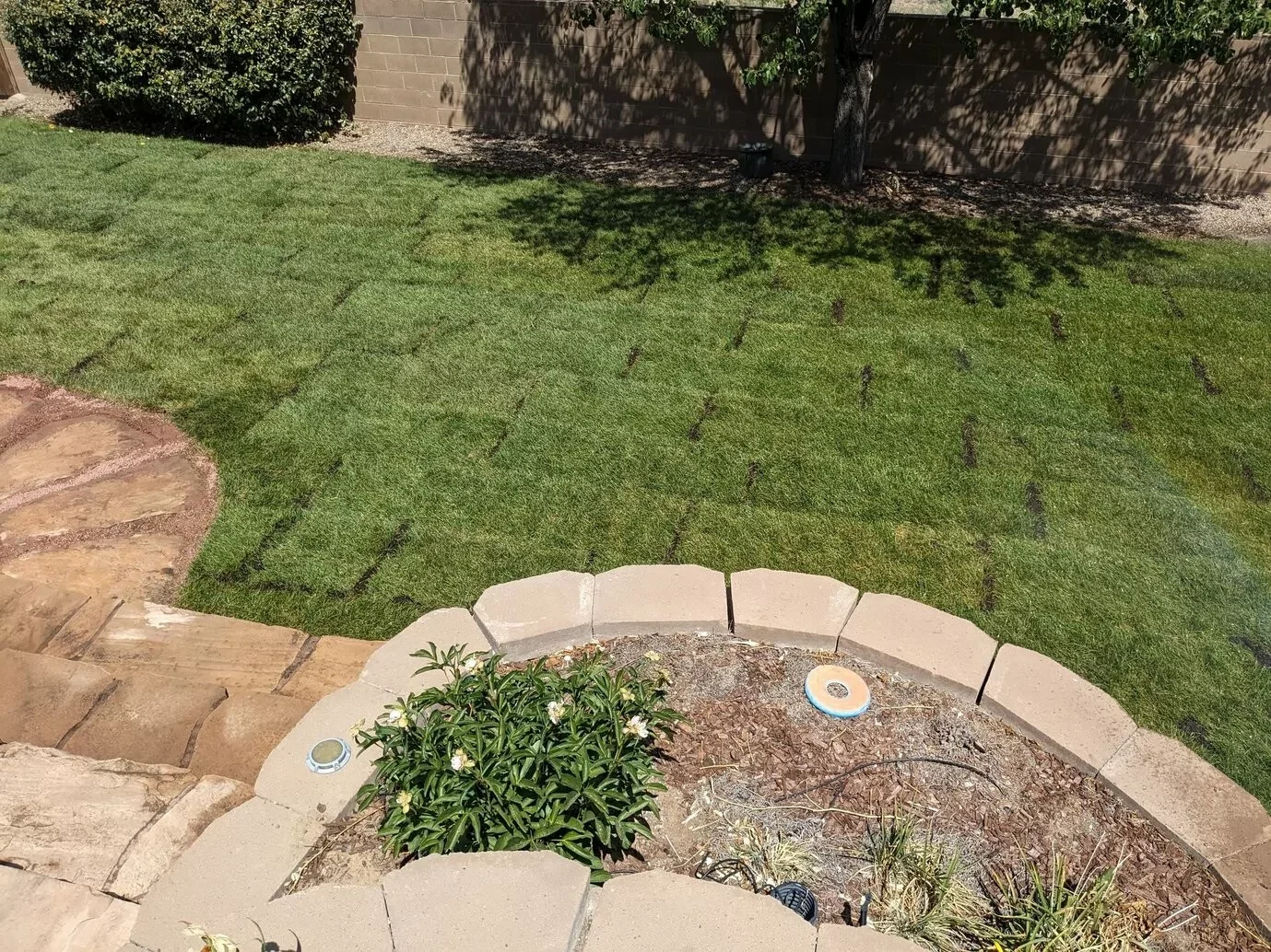 Residential sod installation near Aztec NM