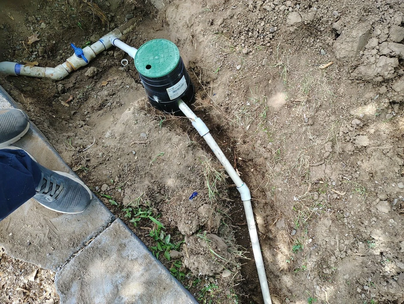 lawn care farmington nm