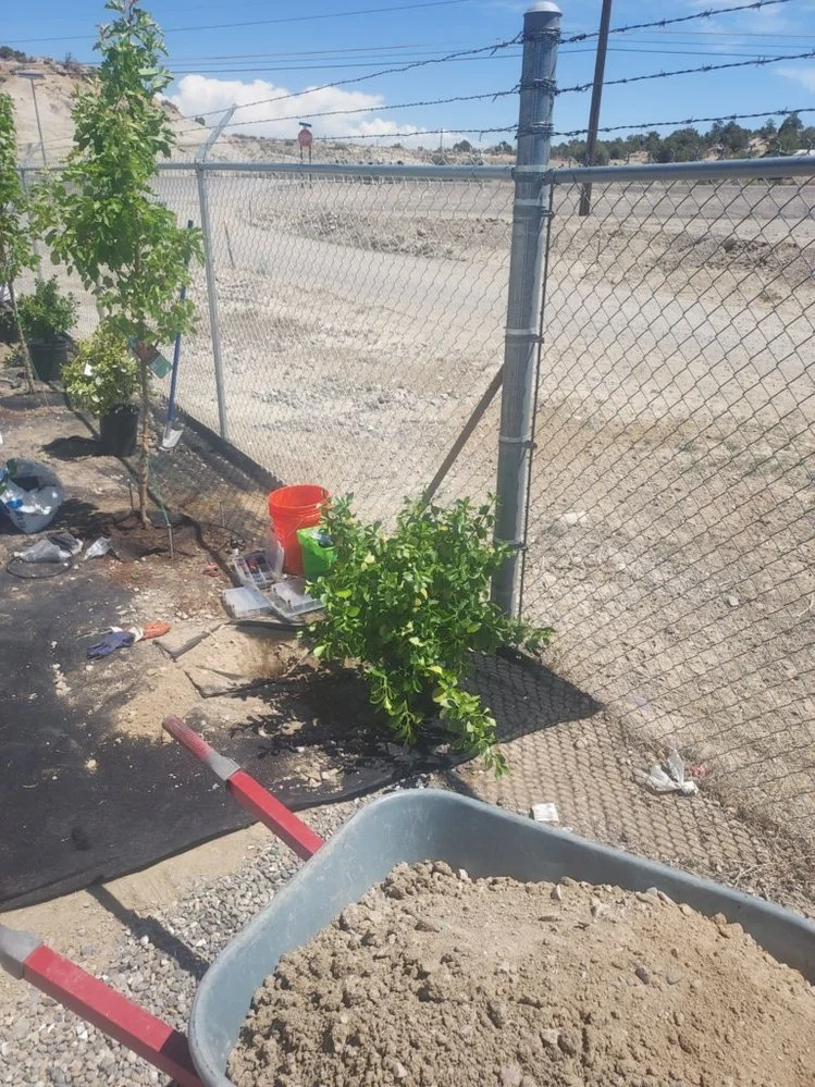 Gravel yard transformation completed near Mesa Drive in the golf-course area of Farmington NM