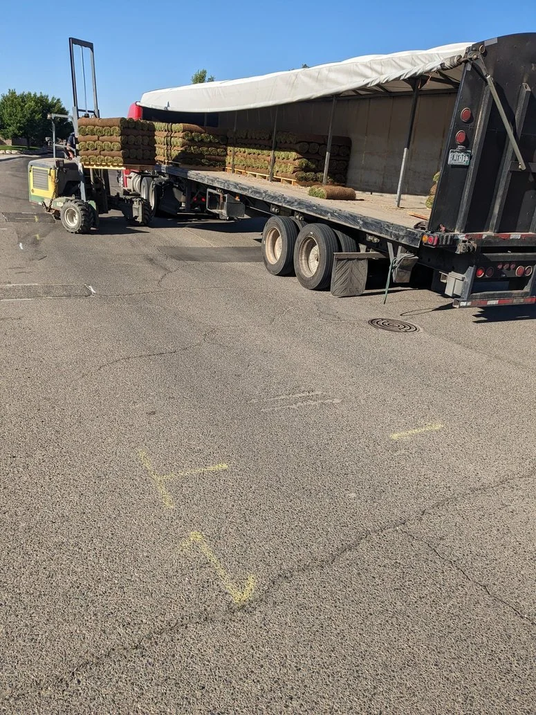 Irrigation and sod installation project Kirtland NM