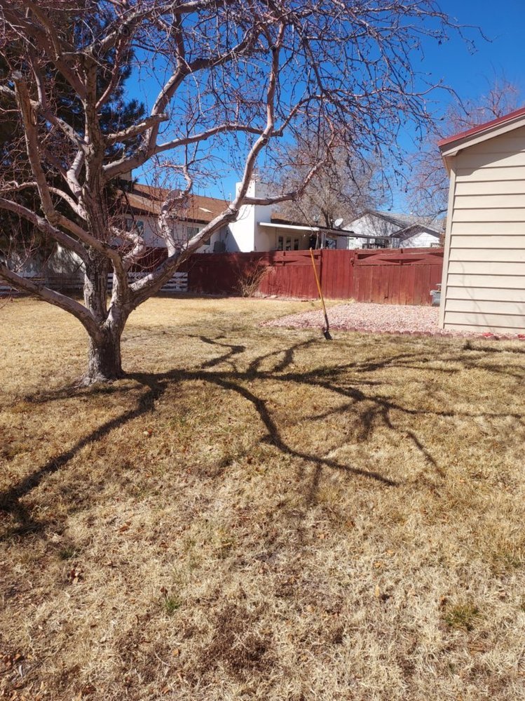 Gravel driveway installation in Farmington NM Animas Valley by Priddy Landscaping