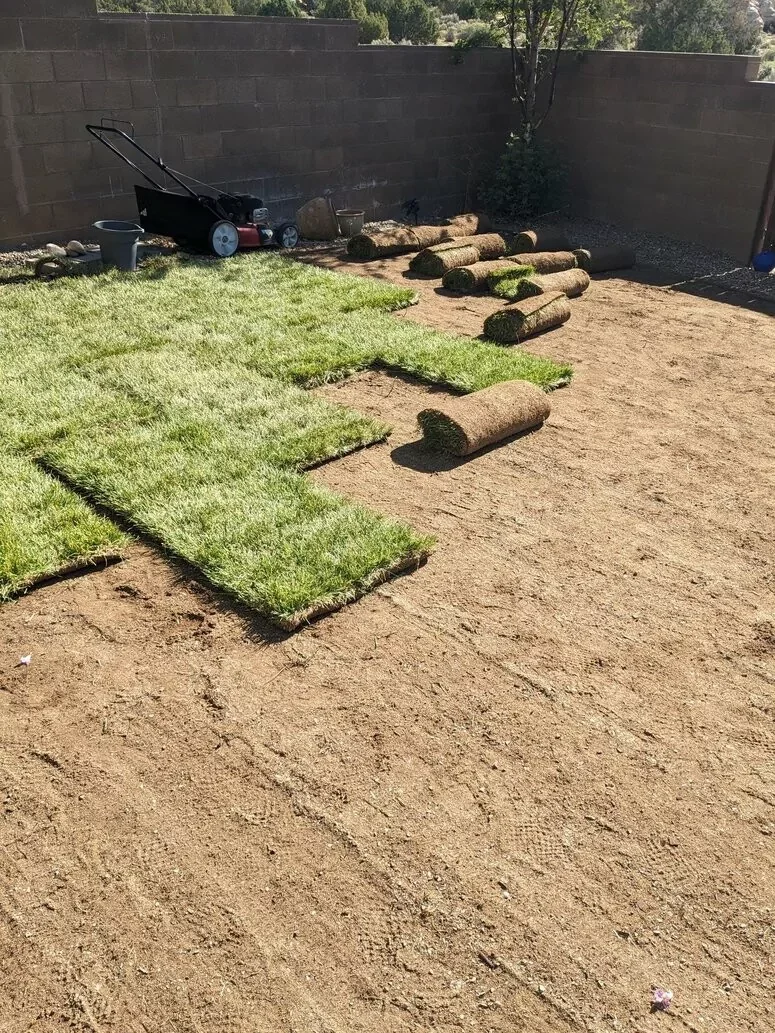 Sod installation in Bloomfield NM backyard lawn