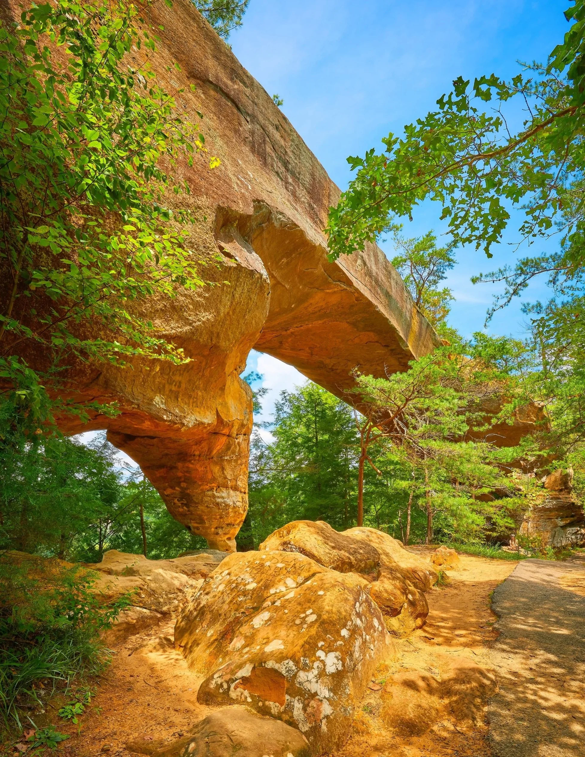 Large sandstone rock formation in a green forest, blue sky visible, dirt path in foreground.